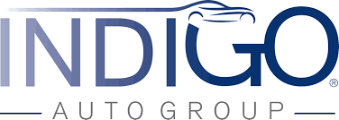 INDIGO foto