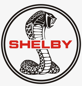 SHELBY foto