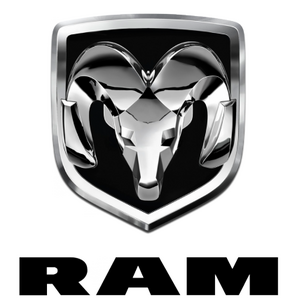 RAM foto
