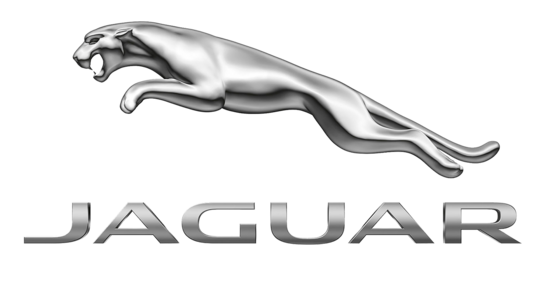 JAGUAR изображение