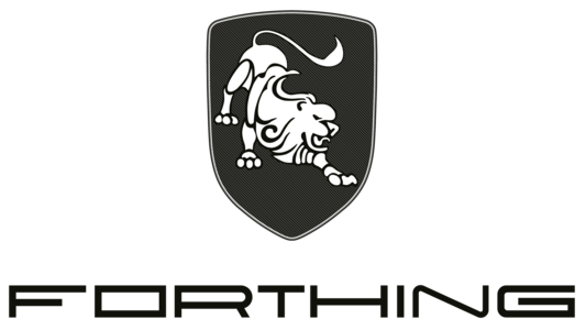 FORTHING image