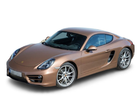 CAYMAN (981) image