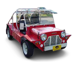 MINI-MOKE paveikslėlis