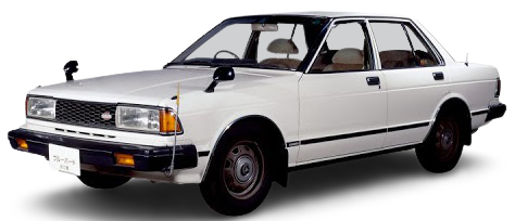 BLUEBIRD Traveller (W910) foto