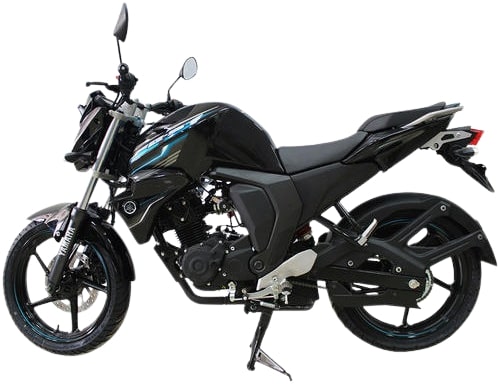 FZS изображение