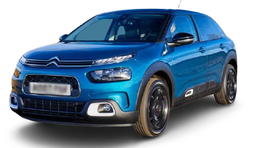 C4 CACTUS immagine