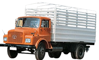 SE image