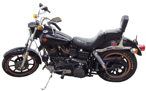 STURGIS image