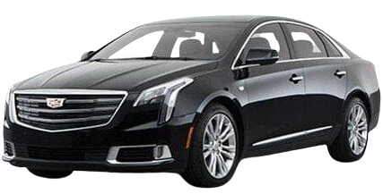 CT6 изображение