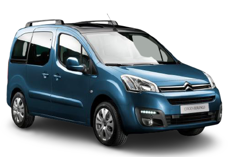 BERLINGO / BERLINGO FIRST Box Body/MPV (M_) image
