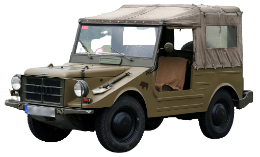 MUNGA image