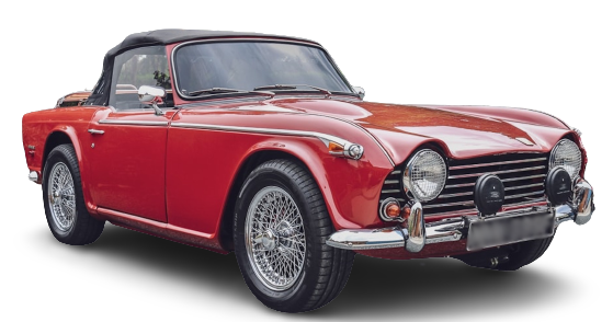 TR 5 (250) immagine