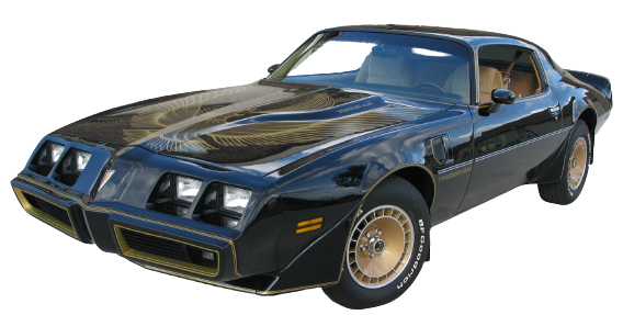 FIREBIRD image
