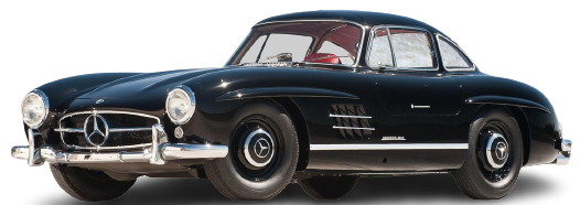 GULLWING (W198) image