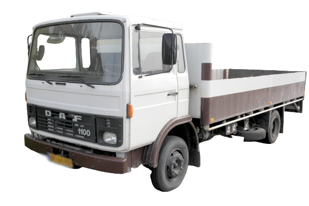 F 1100 image