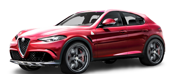 STELVIO (949_) image