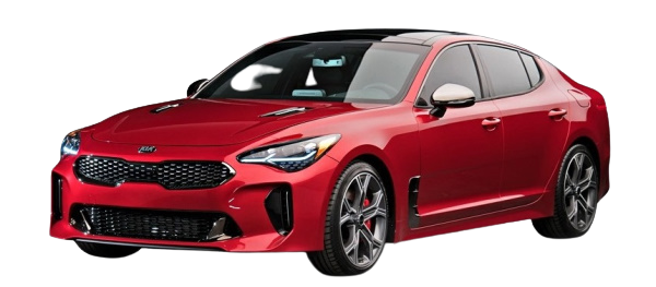 STINGER (CK) image