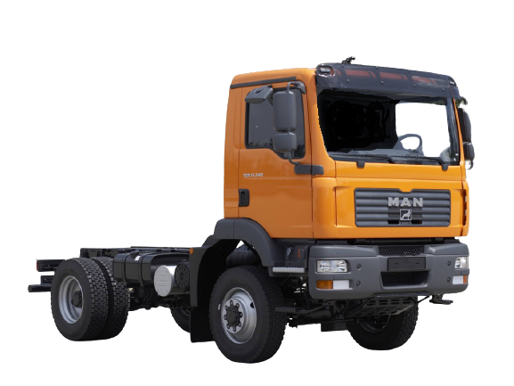 TGM I image