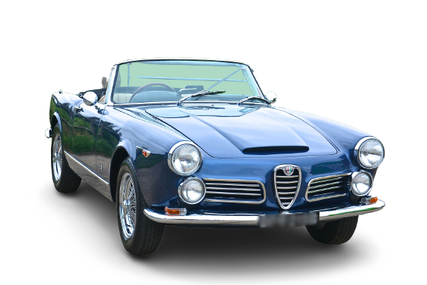 2600 Spider (117_) изображение