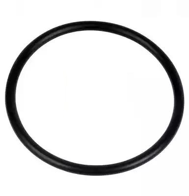 Guarnizione, Sensore livello carburante - FT94642 FAST