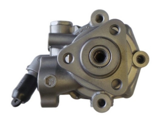 Hydraulic Pump, steering system - 54709 SPIDAN