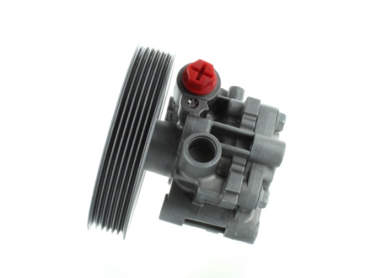 Hydraulic Pump, steering system - 54793 SPIDAN