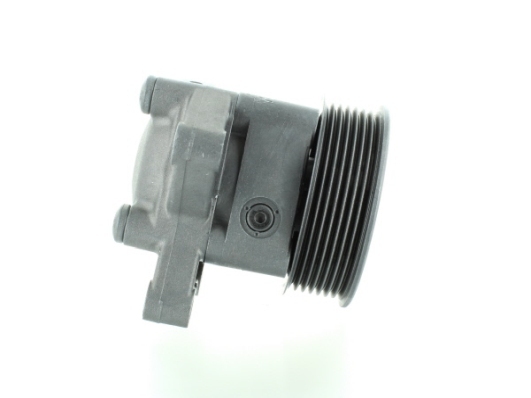 Hydraulic Pump, steering system - 54888 SPIDAN