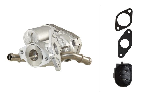 EGR Valve - 6NU 010 171-271 HELLA