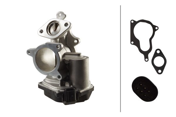 EGR Valve - 6NU 010 171-291 HELLA