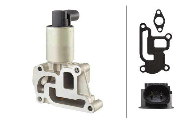 Клапан возврата ОГ - 6NU 010 171-321 HELLA