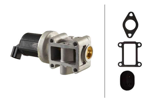 EGR Valve - 6NU 010 171-401 HELLA