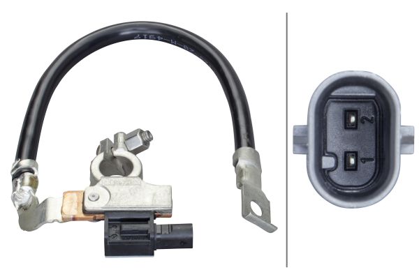 Sensor, battery management - 6PK 010 561-901 HELLA