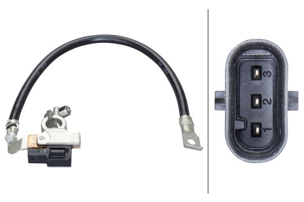 Sensor, battery management - 6PK 010 562-931 HELLA