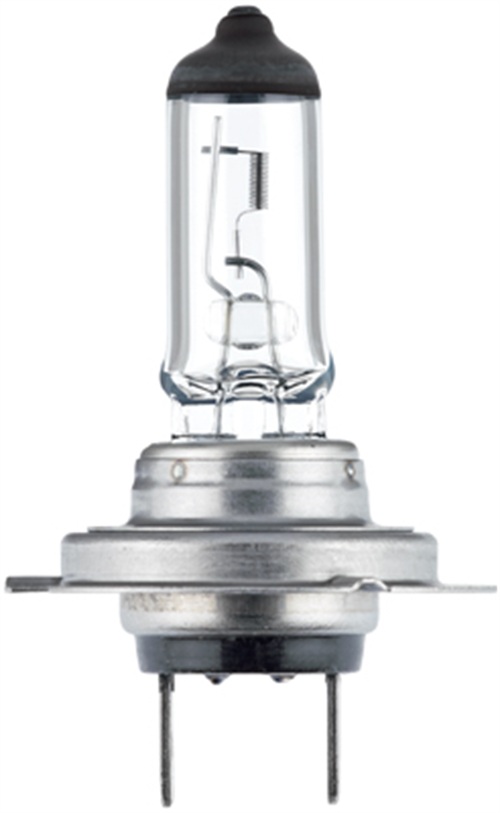 Bulb, spotlight - 8GH 178 555-251 HELLA