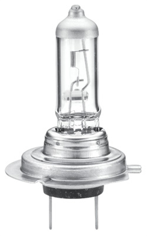 Bulb, spotlight - 8GH 223 498-231 HELLA