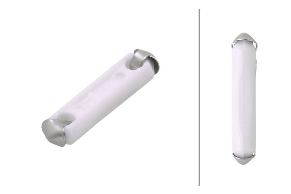 Fuse - 8JS 025 889-003 HELLA