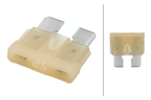 Fuse - 8JS 711 689-821 HELLA