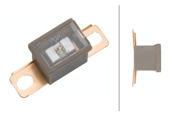 Fuse - 8JS 740 026-541 HELLA