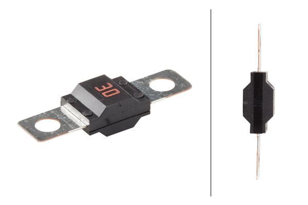 Fuse - 8JS 742 901-061 HELLA