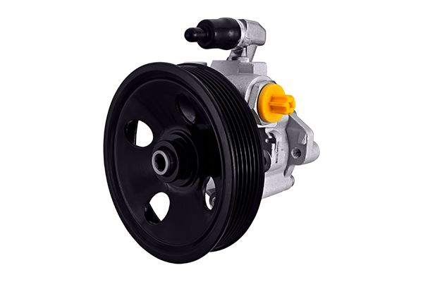 Hydraulic Pump, steering system - 8TL 359 003-161 HELLA