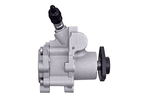Hydraulic Pump, steering system - 8TL 359 003-221 HELLA