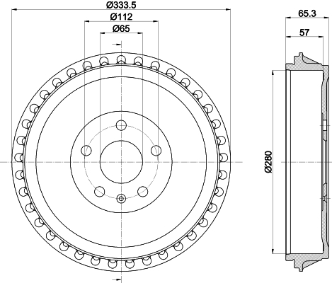 Tamburo freno - 8DT 355 303-491 HELLA