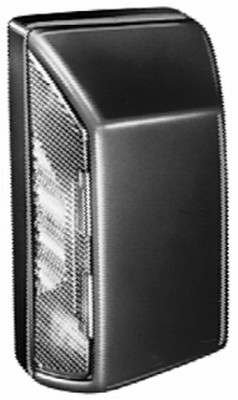 Luce targa - 2KA 003 389-068 HELLA