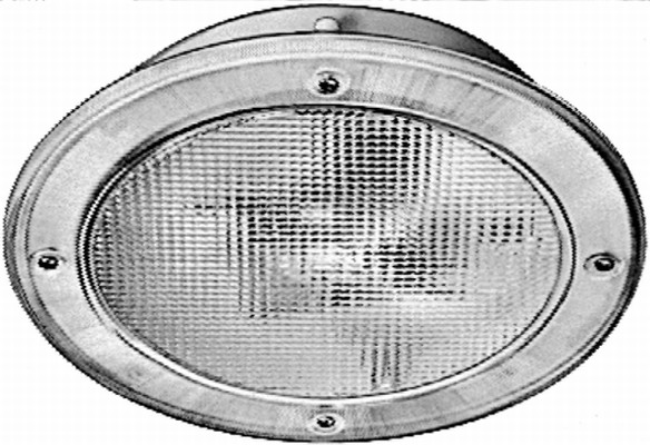 Luce abitacolo - 2JA 005 590-001 HELLA