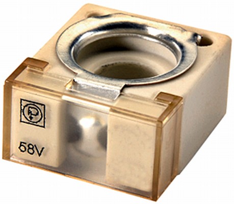 Fuse - 8JS 747 876-021 HELLA