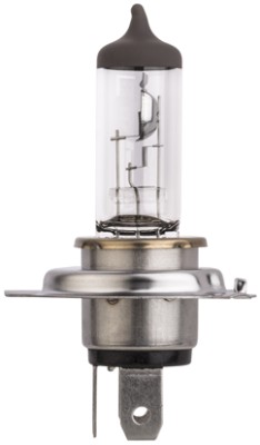 Lampadina, Faro di profondità - 8GJ 329 393-043 HELLA