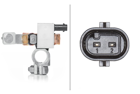 Sensor, battery management - 6PK 010 557-921 HELLA