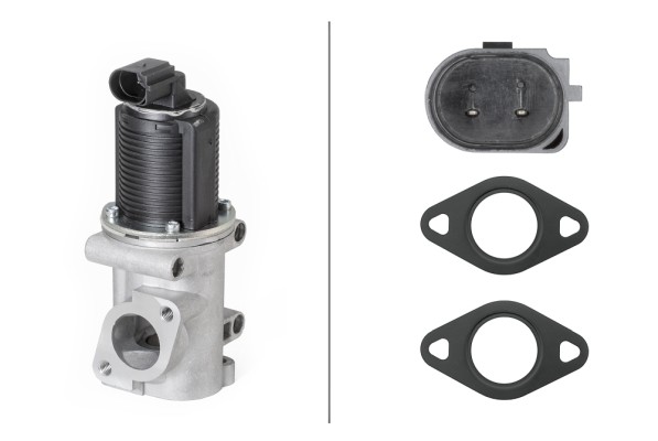 Valvola ricircolo gas scarico-EGR - 6NU 010 171-541 HELLA