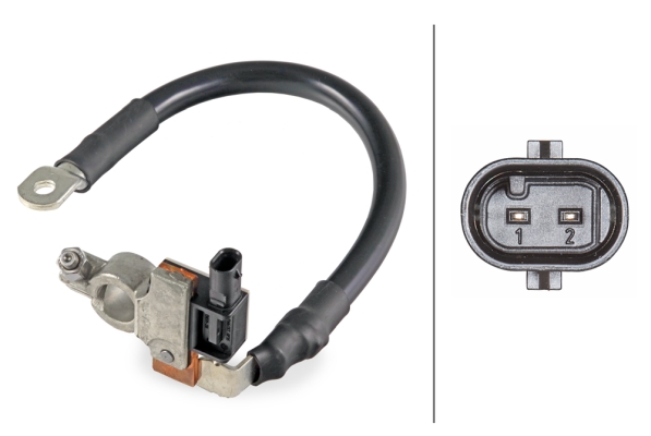 Sensor, battery management - 6PK 010 942-901 HELLA