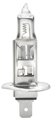 lemputė, prožektorius - 8GH 002 089-251 HELLA